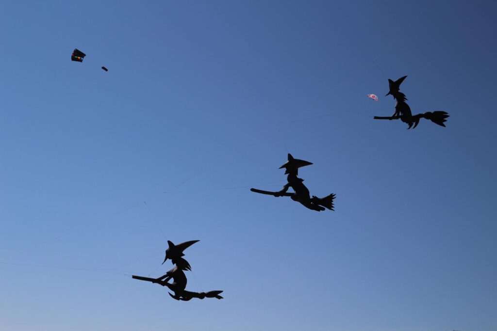 sorcieres cerf volants festival narbonne plage occitanie audreyfario blog litteraire prendre l'air s'envoler