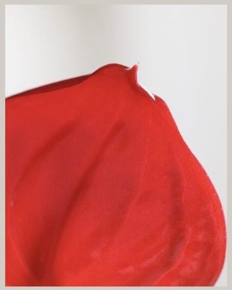 anthurium rouge sang photo macro audrey fario