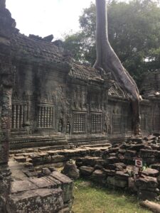temple angkor cambodge audrey fario photo artistitique VEGETAL arbre racines