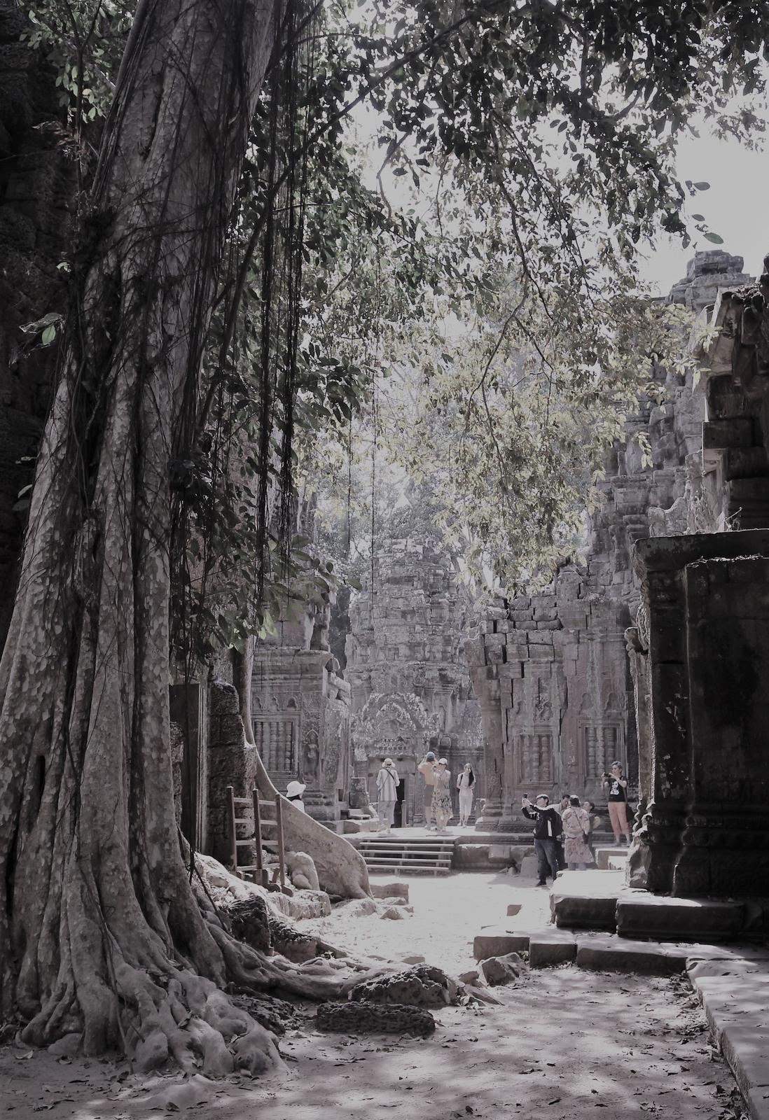 temple angkor cambodge audrey fario photo artistitique BNW