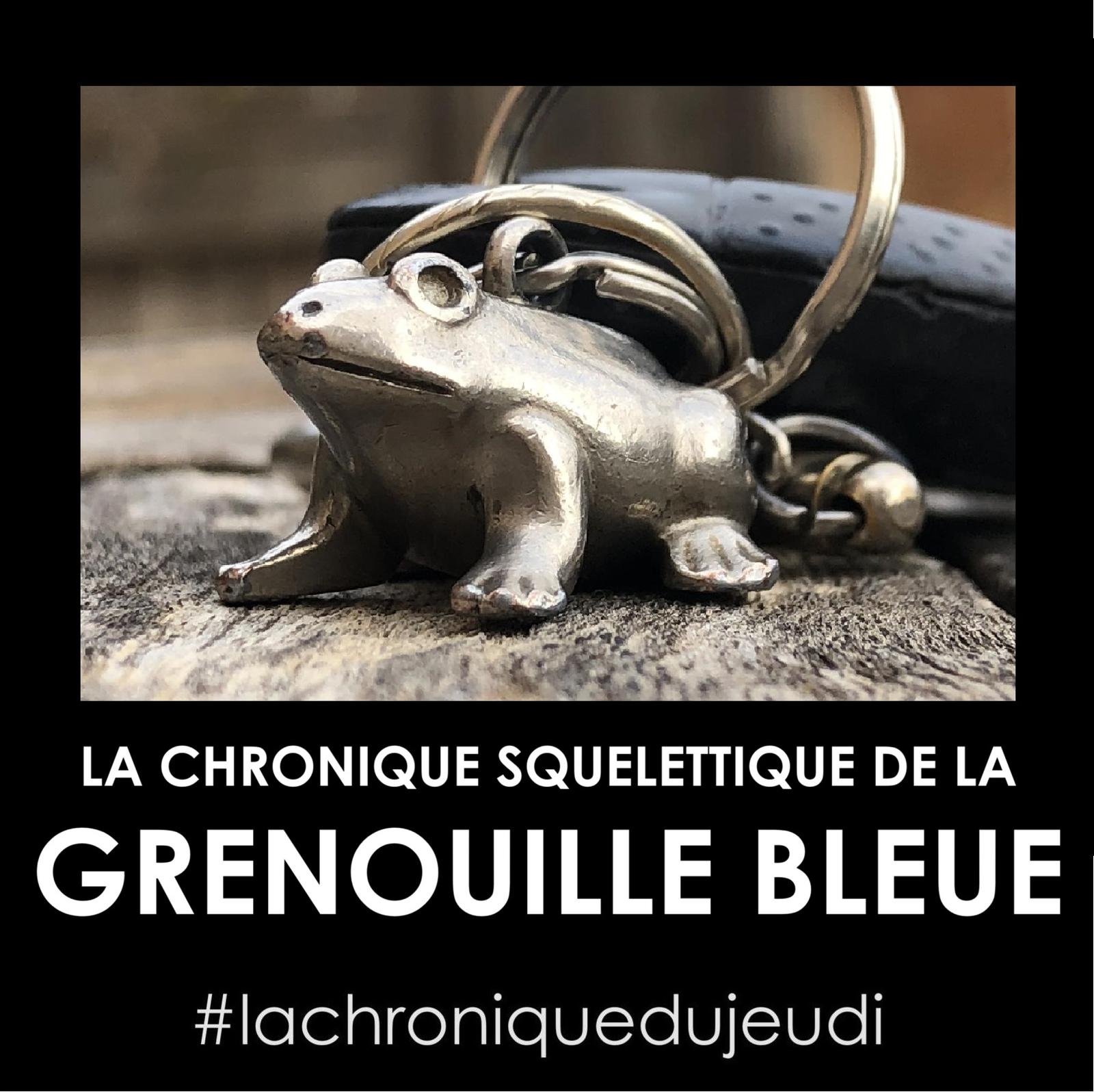 chronique GRENOUILLE BLEUE AUDREYFARIO