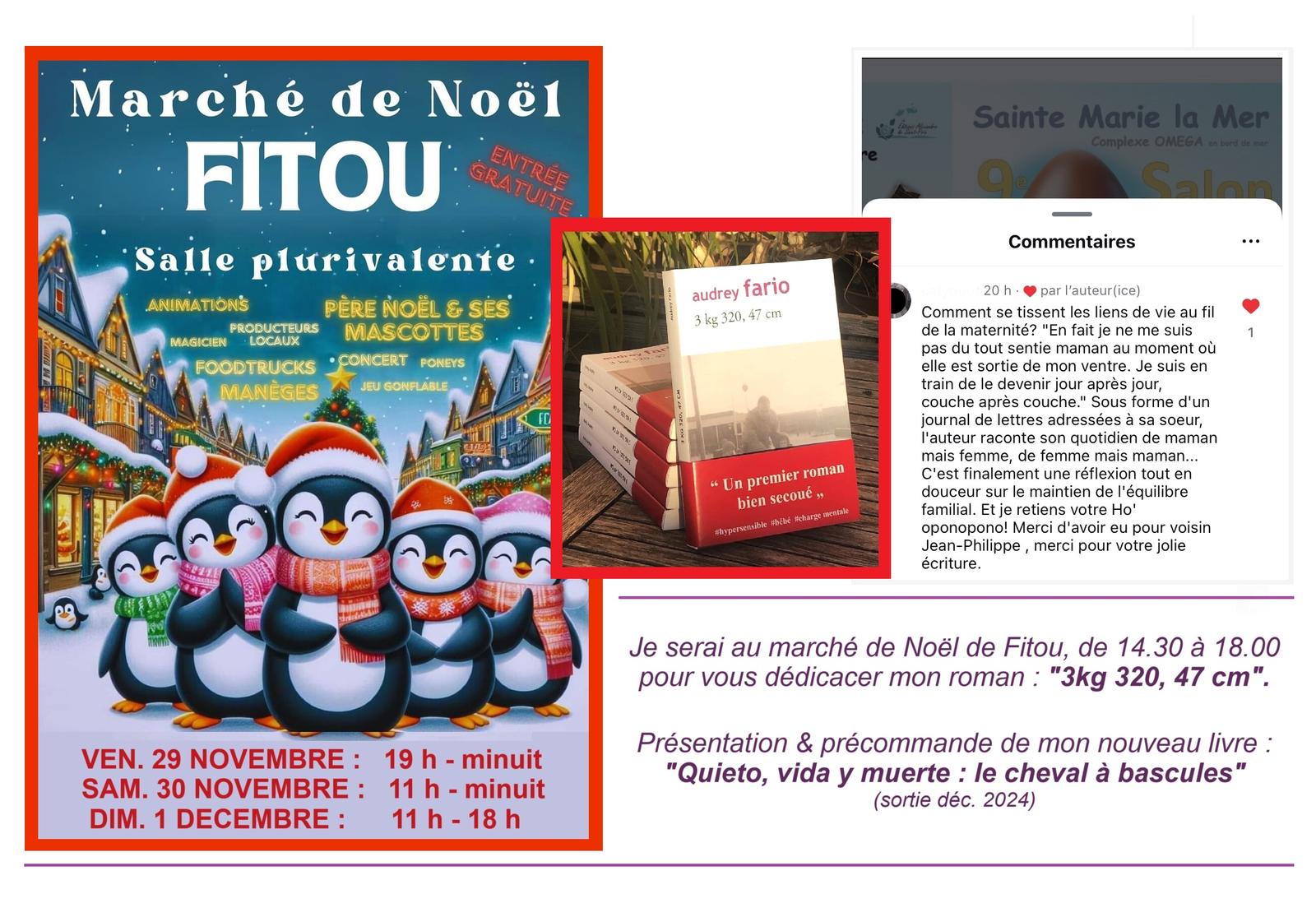 marché de noel de fitou auteur indépendant audrey fario livres salon émotions nature humaine cheval résilience deuil