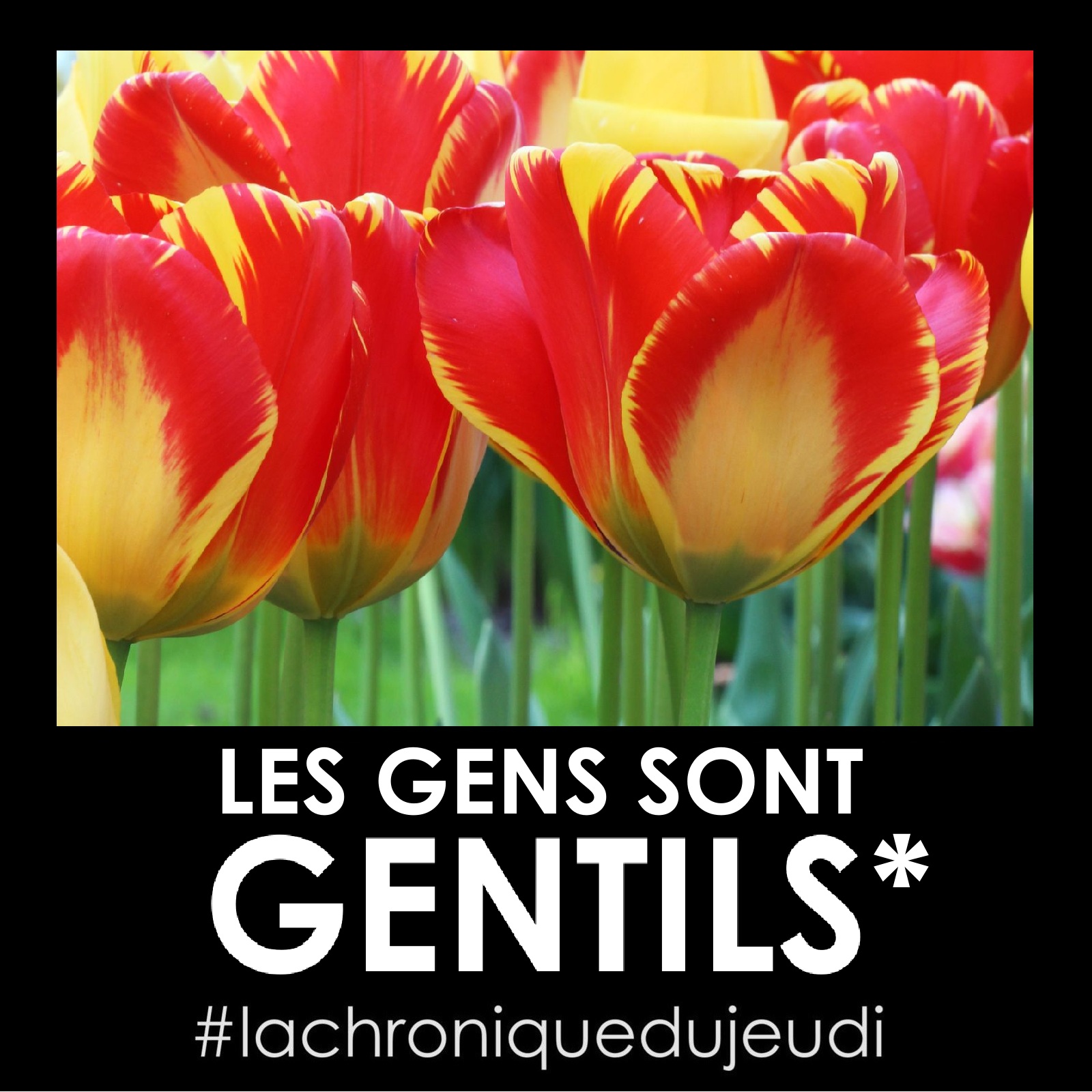 les gens gentils gentillesse bienveillance hollande pays-bas tulipes keukenhof audrey fario auteur occitanie optimisme happy happiness
