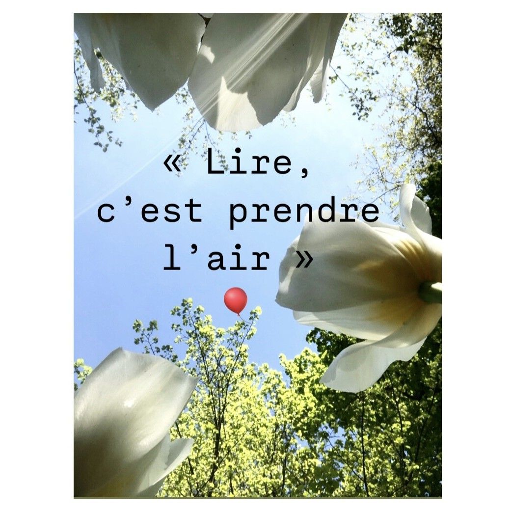lire prendre l'air ecrire des livres délivre bibliotherapy bibliotherapie creative les gens gentils gentillesse bienveillance hollande pays-bas tulipes keukenhof audrey fario auteur occitanie optimisme happy happiness